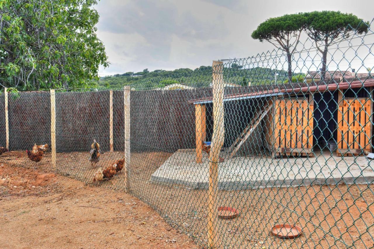 Masia Cal Ros S'Agaro Εξωτερικό φωτογραφία